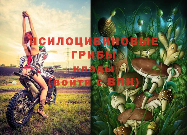 MDMA Вяземский